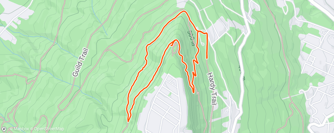 Map of the activity, Morning Trail Run