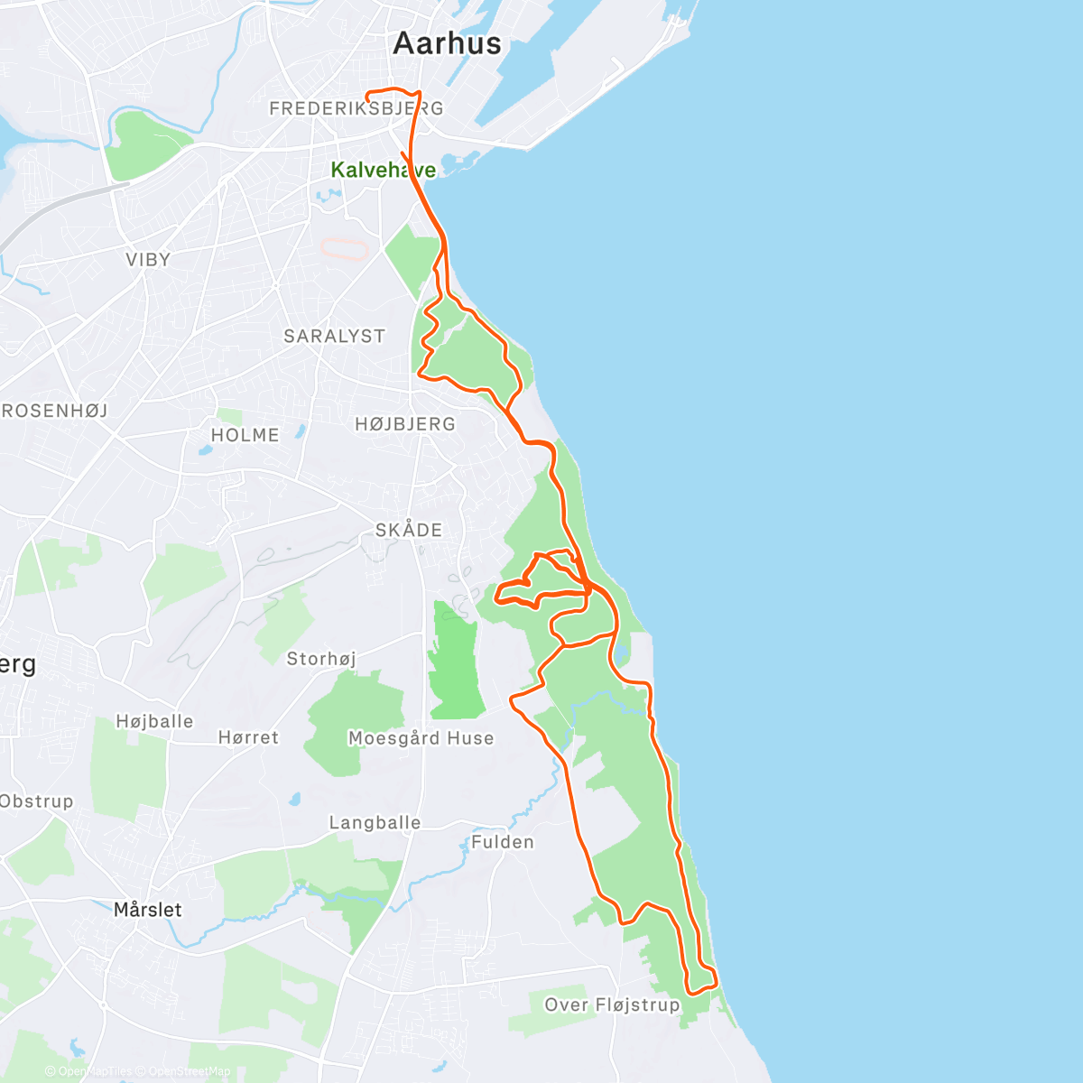 Map of the activity, Lidt aften dunk i junglen 🌔