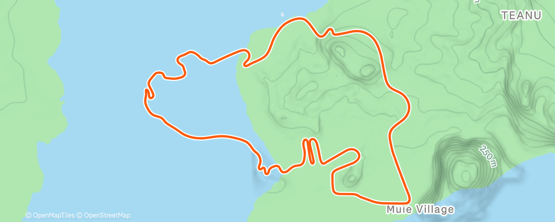 Карта физической активности (Zwift - Volcano Flat in Watopia)
