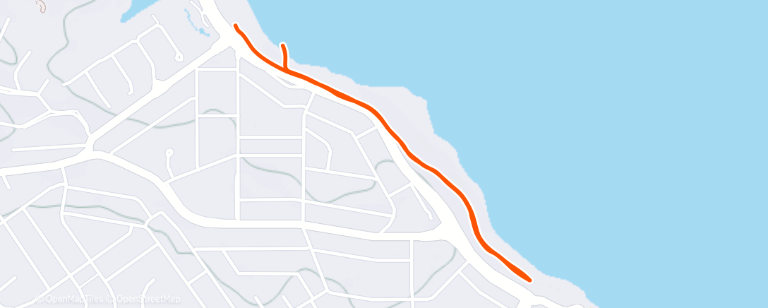 Карта физической активности (Morning Walk)