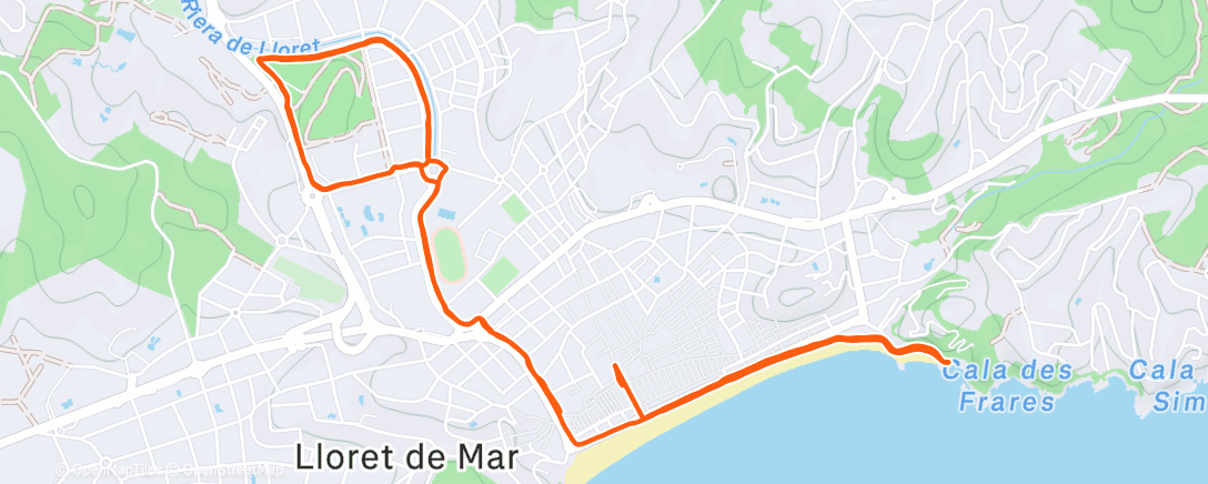 Карта физической активности (Дневной забег)