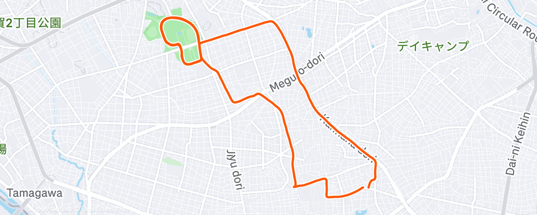 Карта физической активности (駒澤オリンピック公園グルグル)