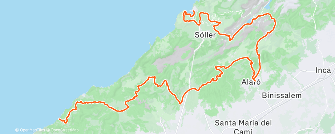 Map of the activity, Morning Trail Run