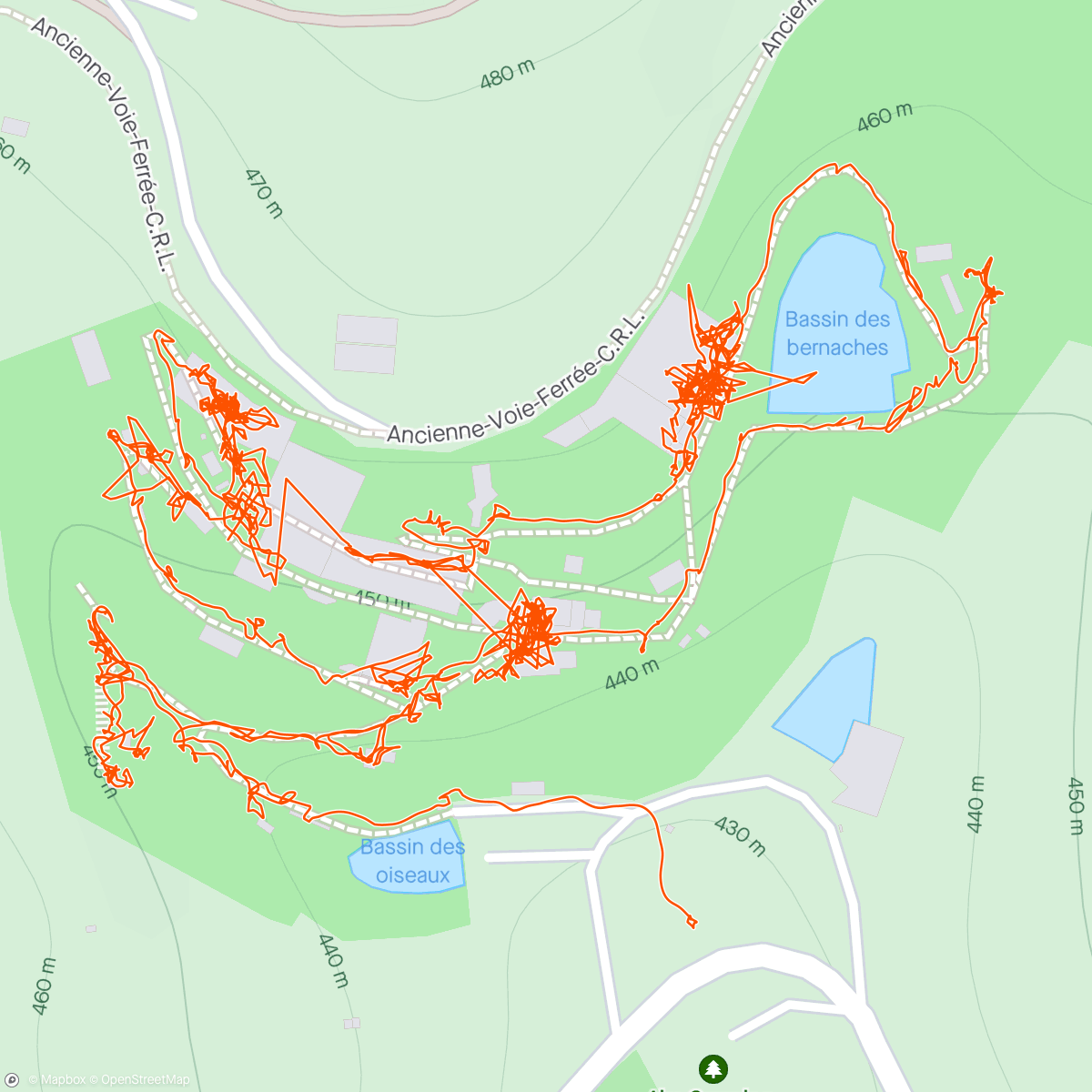 Map of the activity, Visite zoo