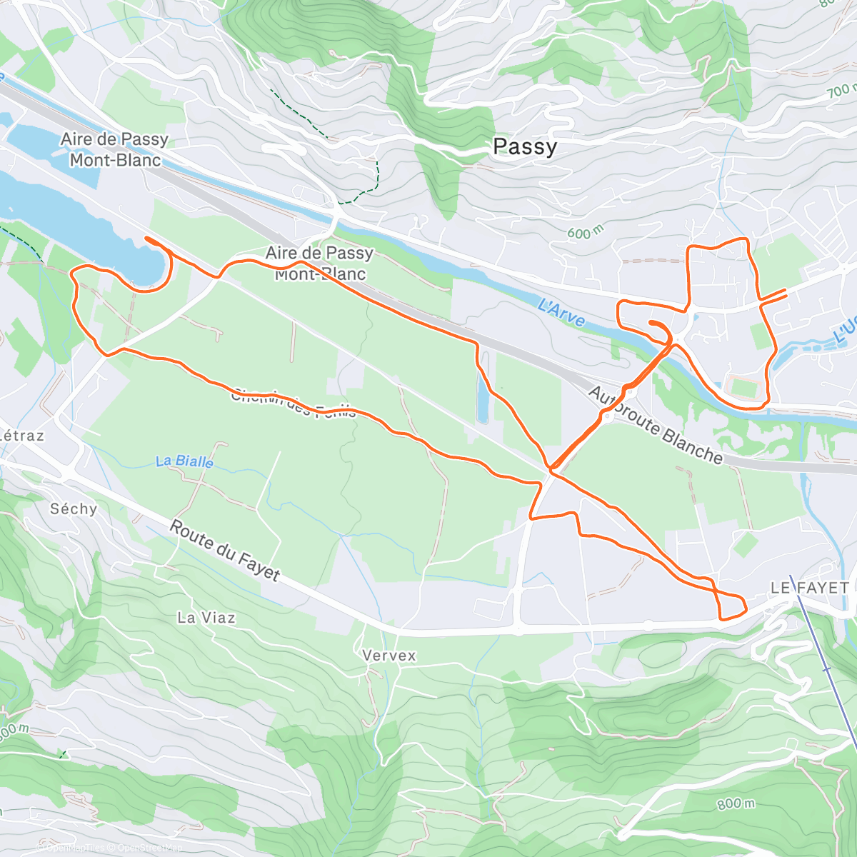 Map of the activity, We are so back !!!!