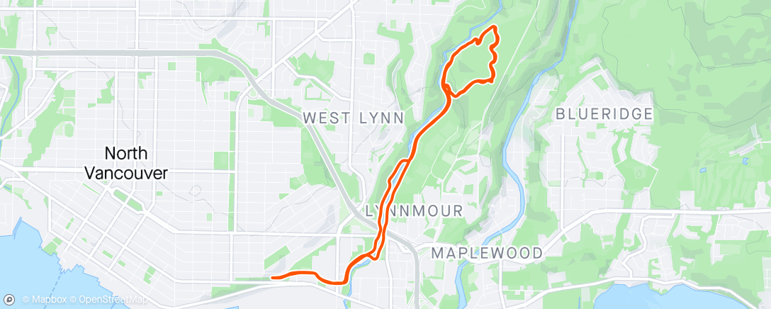 Map of the activity, S2S & Butterslap Loop