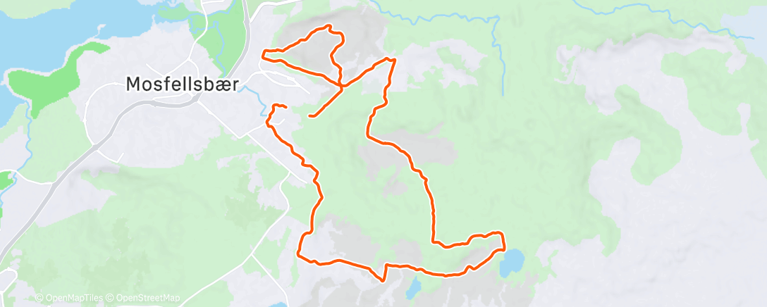 Карта физической активности (Morning Trail Run)