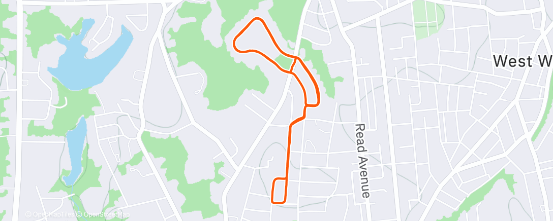 Карта физической активности (Morning Run)