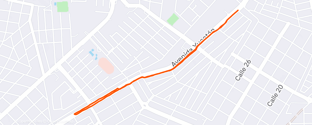 Map of the activity, Morning Run