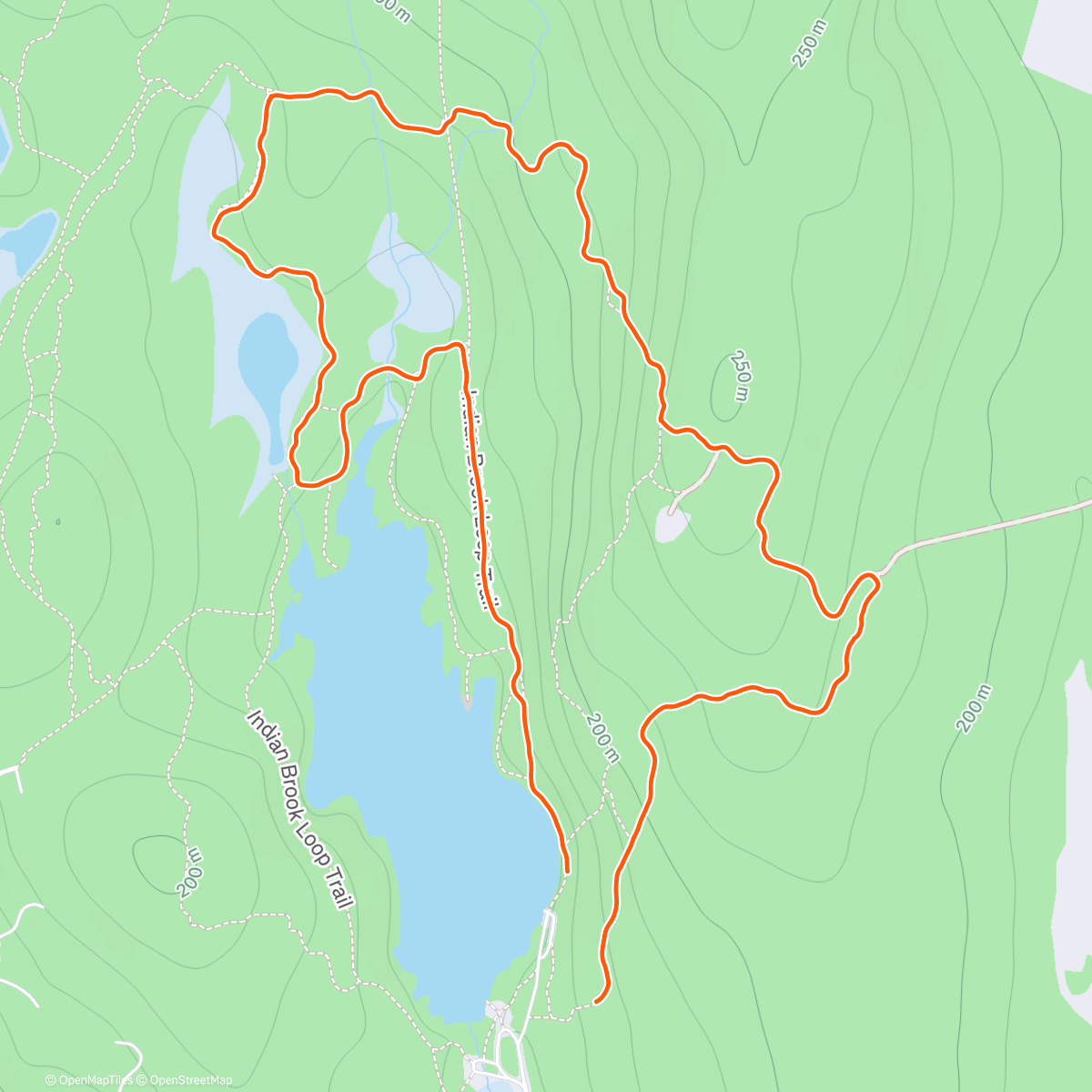 Map of the activity, Cold