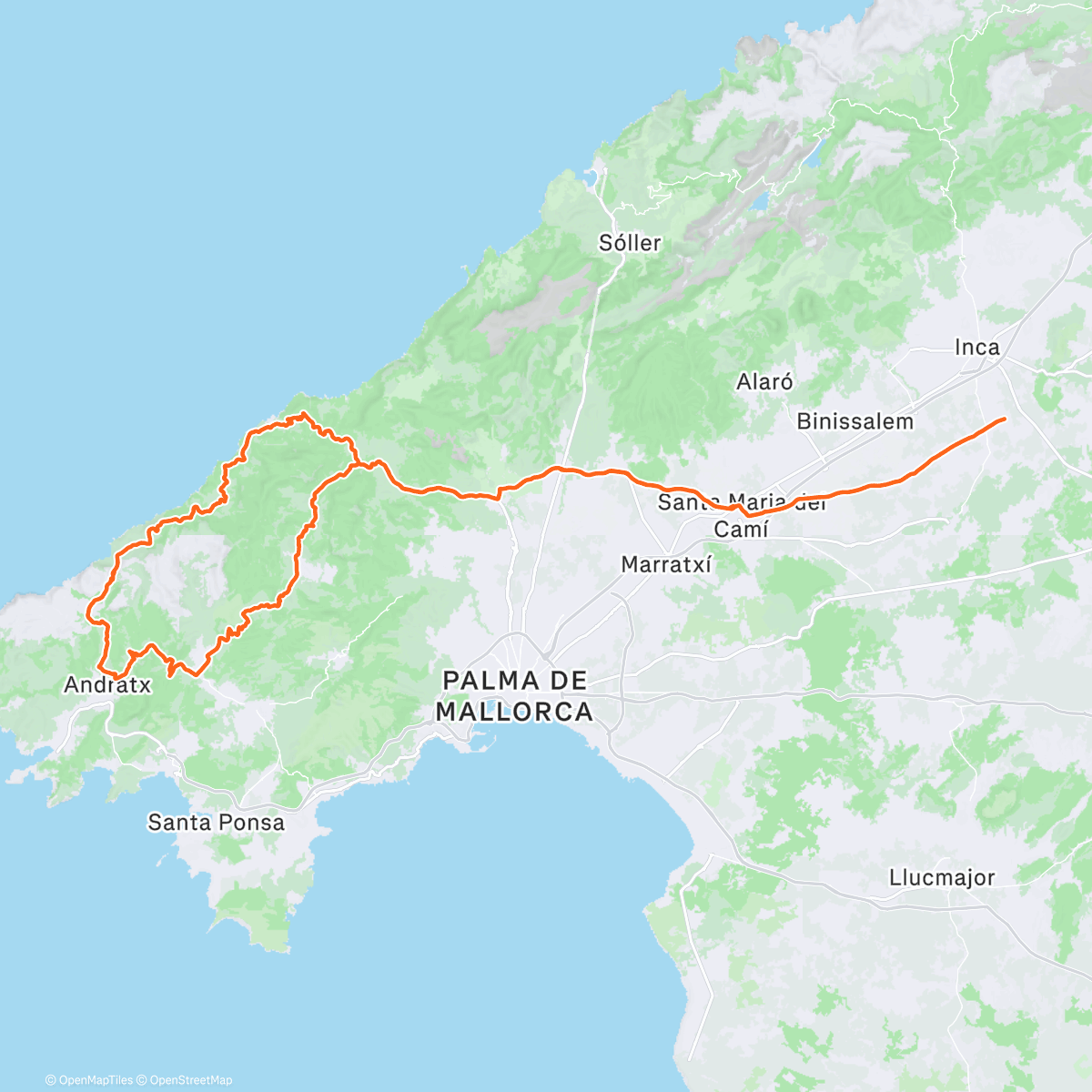 Карта физической активности (Winter Camp | SCCC day 3 ⛅️🕶️)