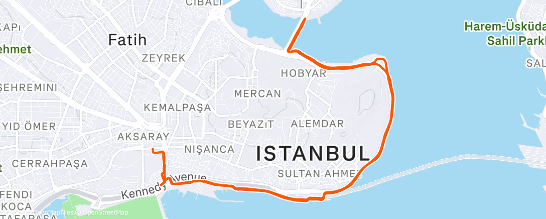 Map of the activity, Night Run