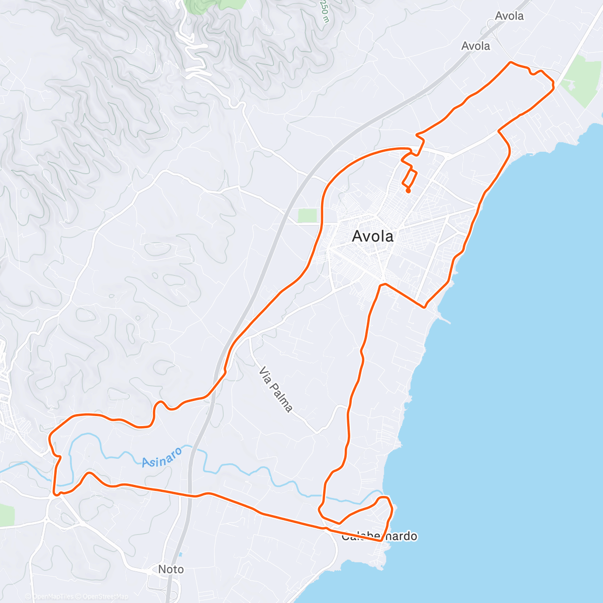 Map of the activity, Ignazio Silone - Il seme sotto la neve