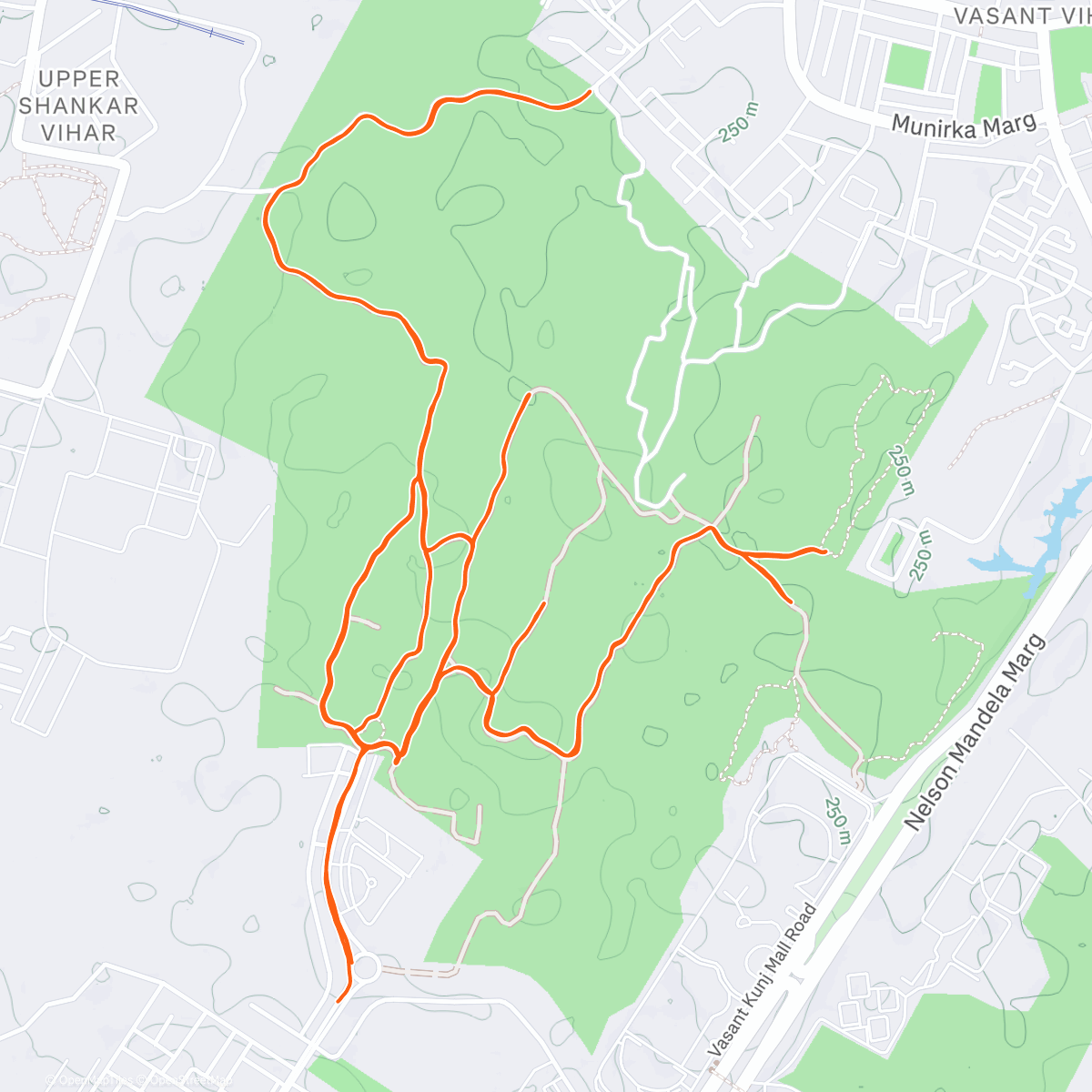 Карта физической активности (Tuesday Afternoon Trail Run)