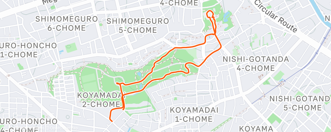 Карта физической активности (朝のランニング)