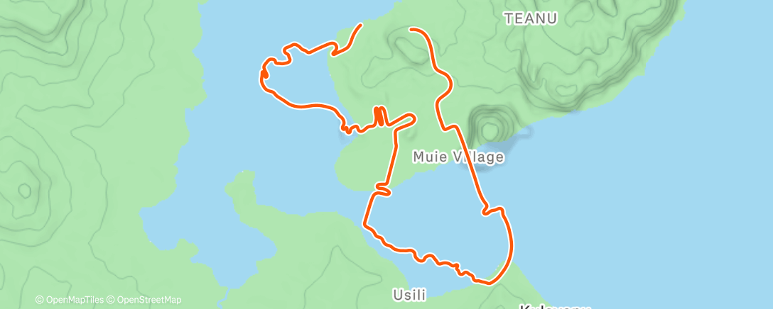 Map of the activity, Zwift - Anna van der Breggen - Road Race on Ocean Lava Cliffside Loop in Watopia