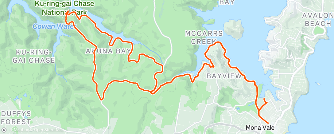 Map of the activity, Akuna with Richie chasing the fox!