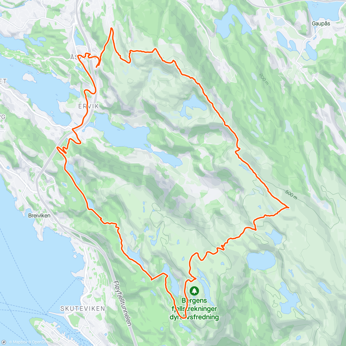 Map of the activity, Fjellgogg (gå/jogg)