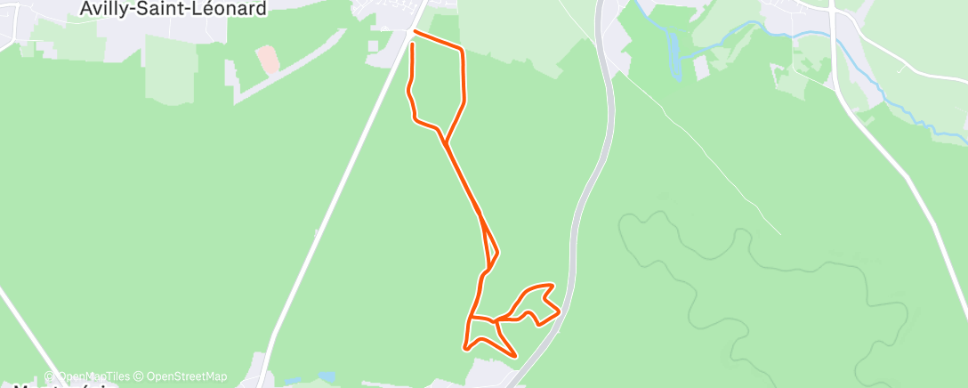 Карта физической активности (Morning Trail Run)