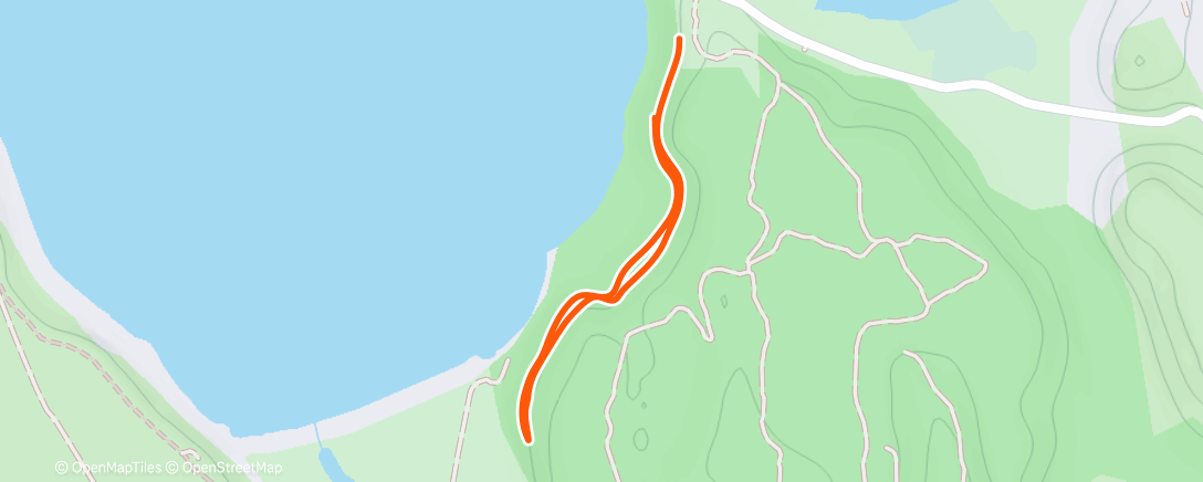 Map of the activity, Morning Run
