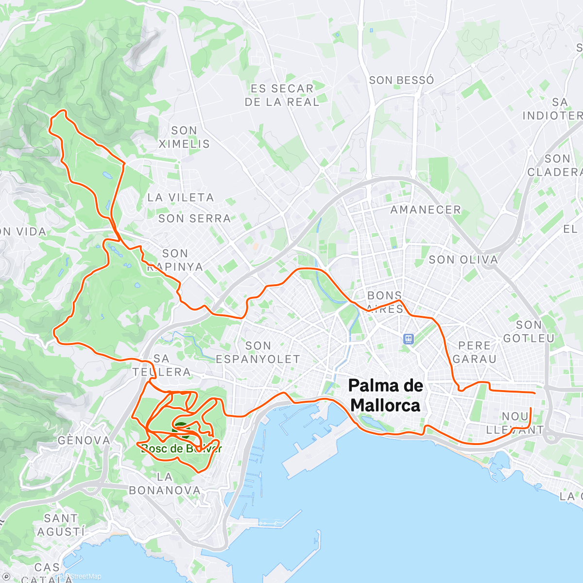 Map of the activity, Bellver & Valle