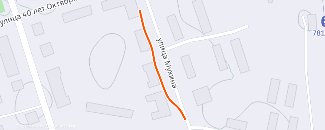 Карта физической активности (Дневной забег)