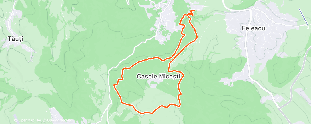 Карта физической активности (Morning Trail Run)