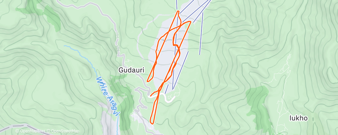 Карта физической активности (Гулаури)