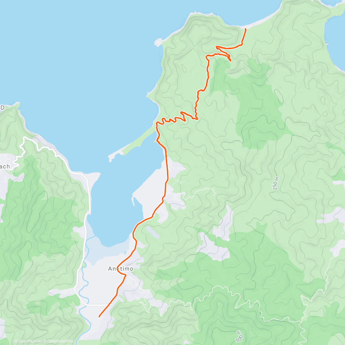 Map of the activity, Christmas Whariwharangi 🎅 🦔