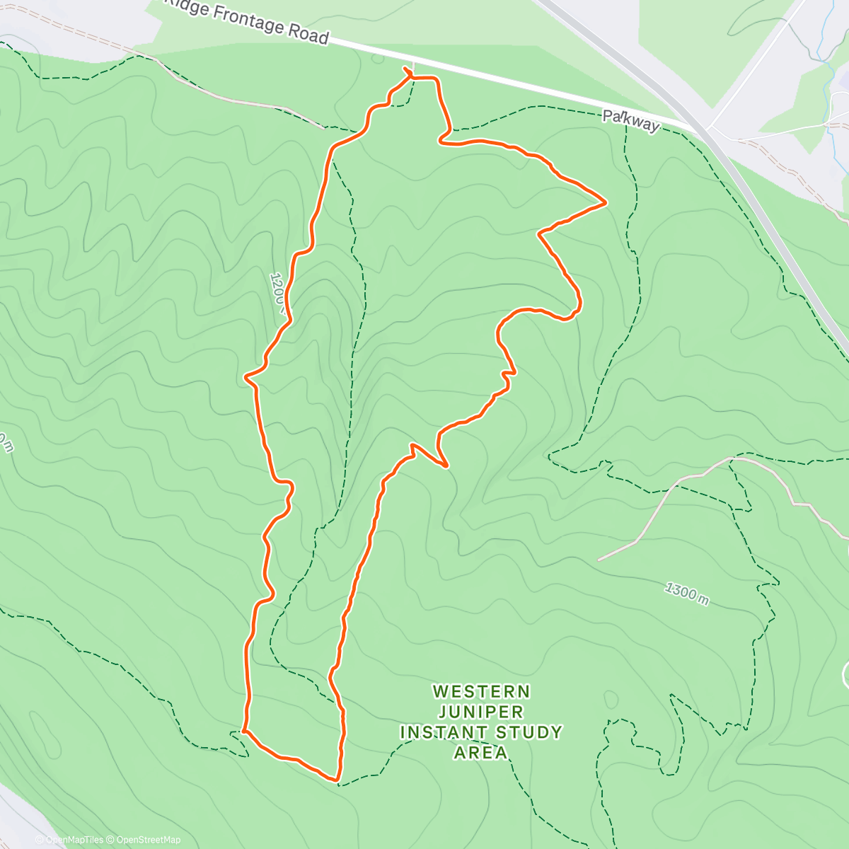 Map of the activity, Analog Horse