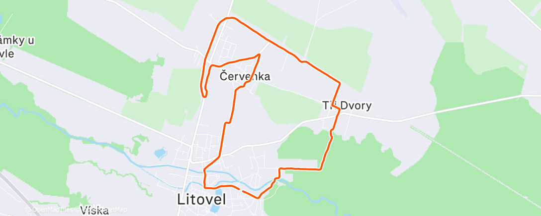 Карта физической активности (Night Run)