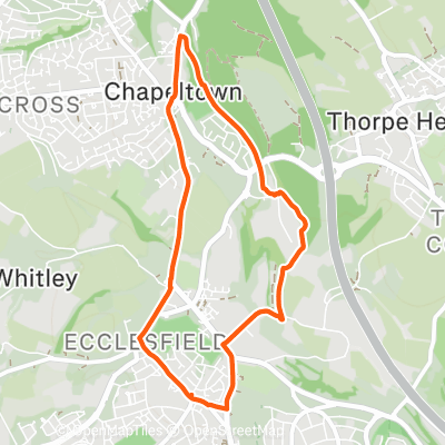 Chap loop via TPT 8k c/w | 8.0 km Running Route on Strava