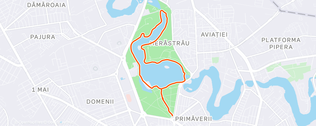 Карта физической активности (Morning Run)