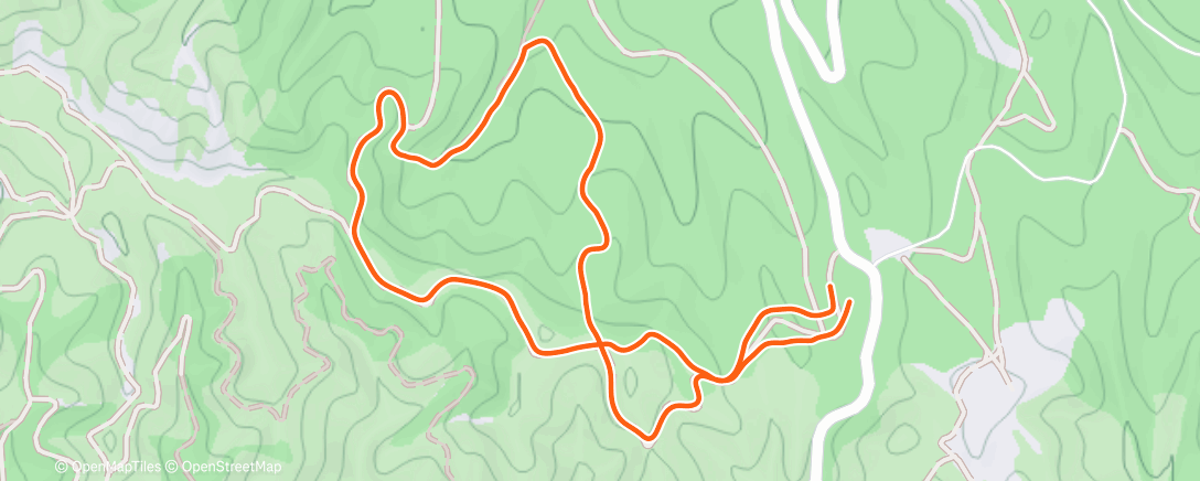 Map of the activity, Mini Marche