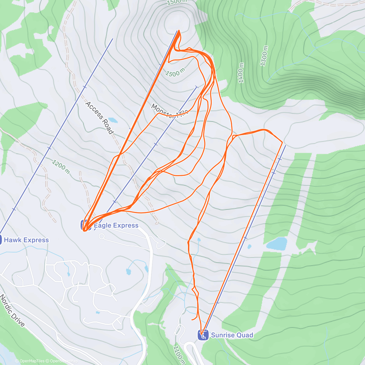Карта физической активности (Ski leg bootcamp 🦵)