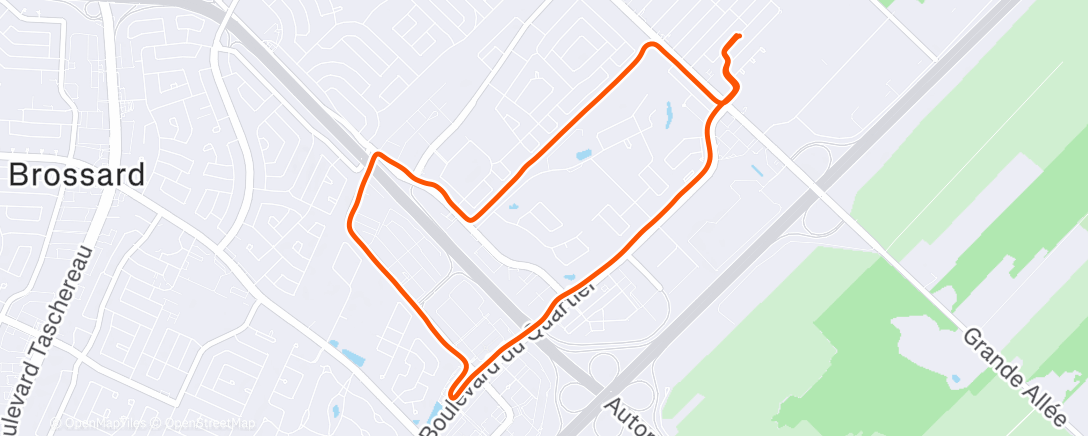 Карта физической активности (Morning Run)