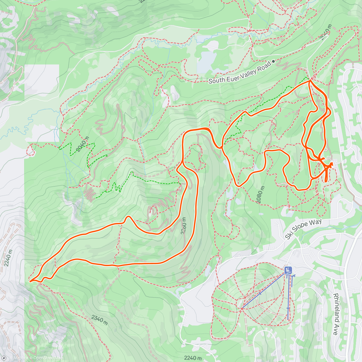 Map of the activity, Vegan Thanksgiving