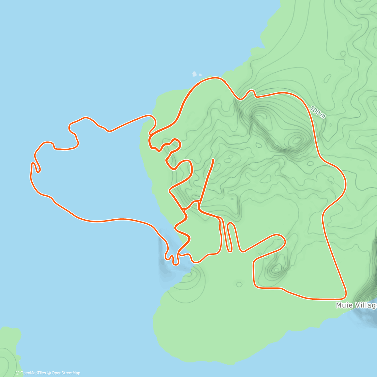 Map of the activity, kleine Einheit auf der Rolle