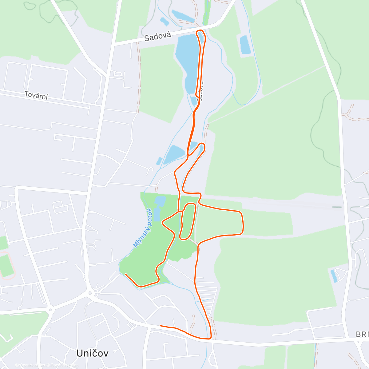 Карта физической активности (Aktivace)