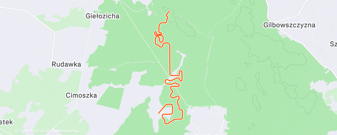 Карта физической активности (MyWhoosh - Targeting FTP)