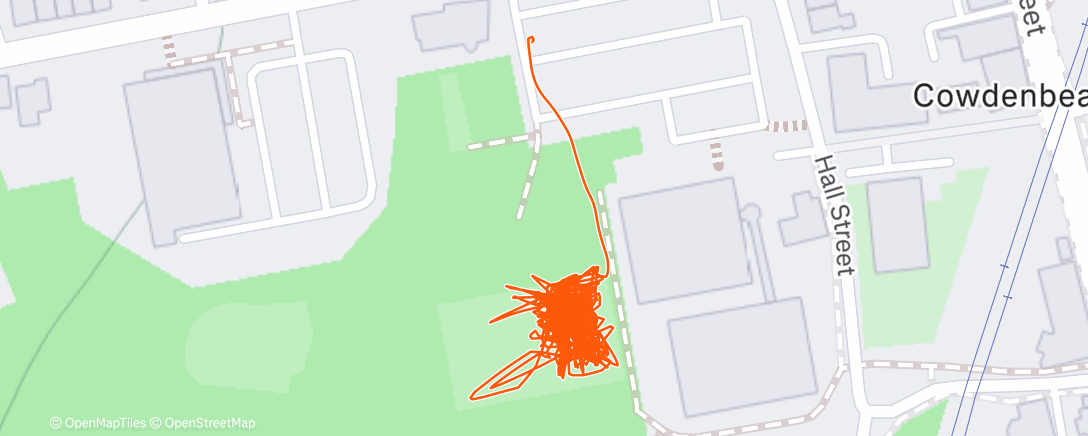 Map of the activity, Evening Run