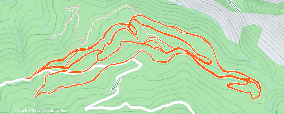 Карта физической активности (Morning Nordic Ski)