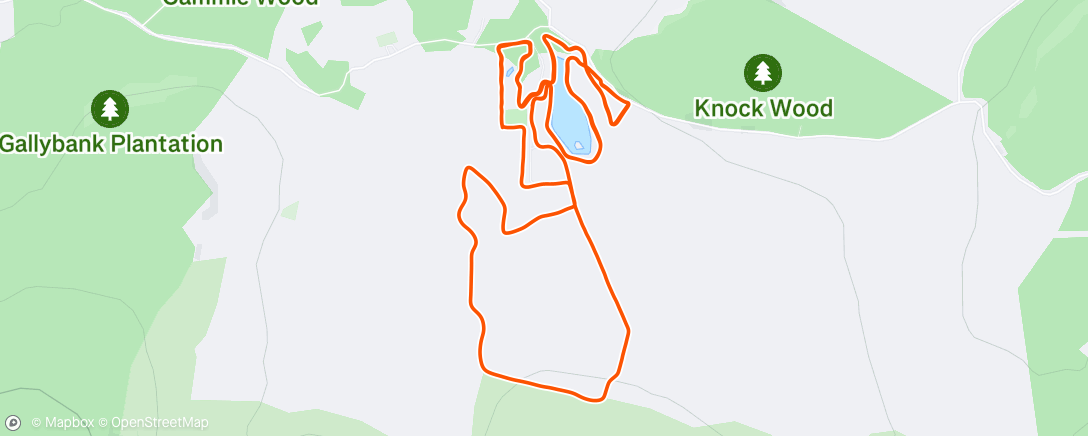 Map of the activity, Shakeout
