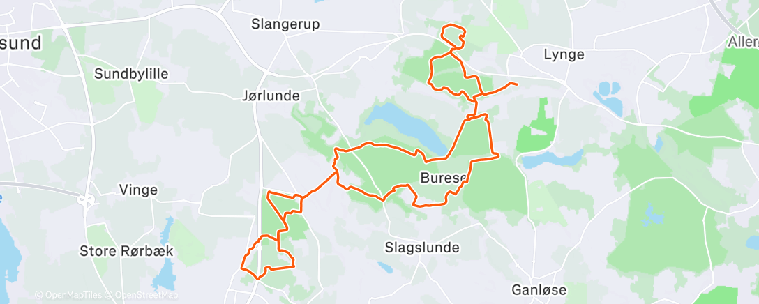 Карта физической активности (Morning Trail Run)