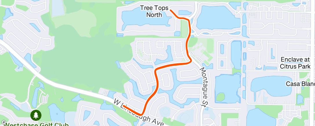 Map of the activity, Evening Run