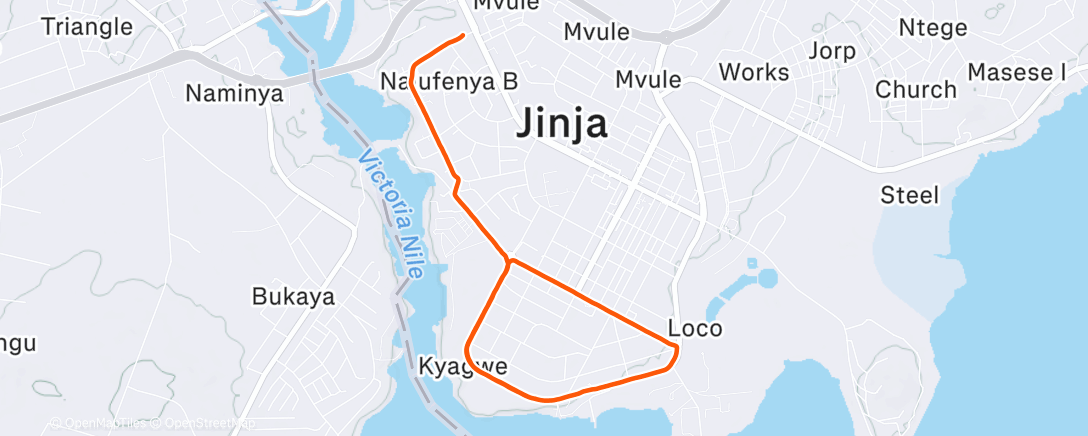 Map of the activity, Утренний забег