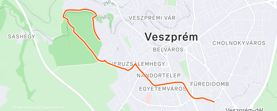 Map of the activity, Morning Run