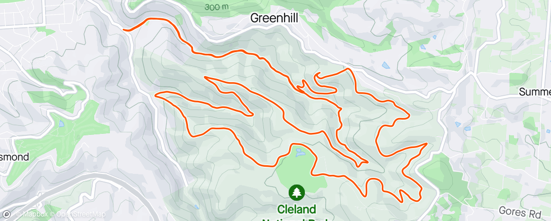 Map of the activity, Morning Trails 👌