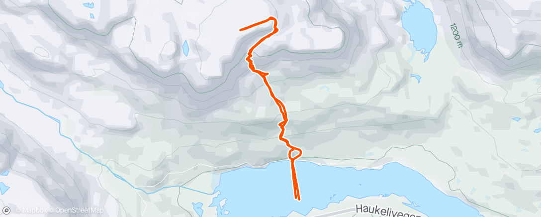 Map of the activity, Topptur Haukeli