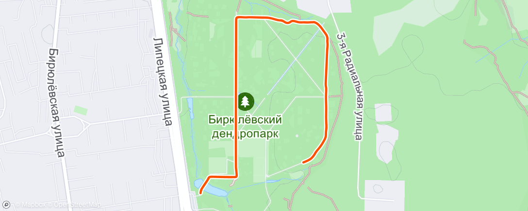 Map of the activity, Утренний забег